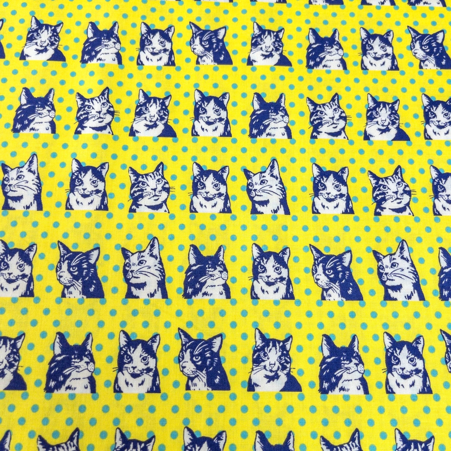 Japan | dots cat 波點拼色貓貓 | cotton printed sheeting 純棉