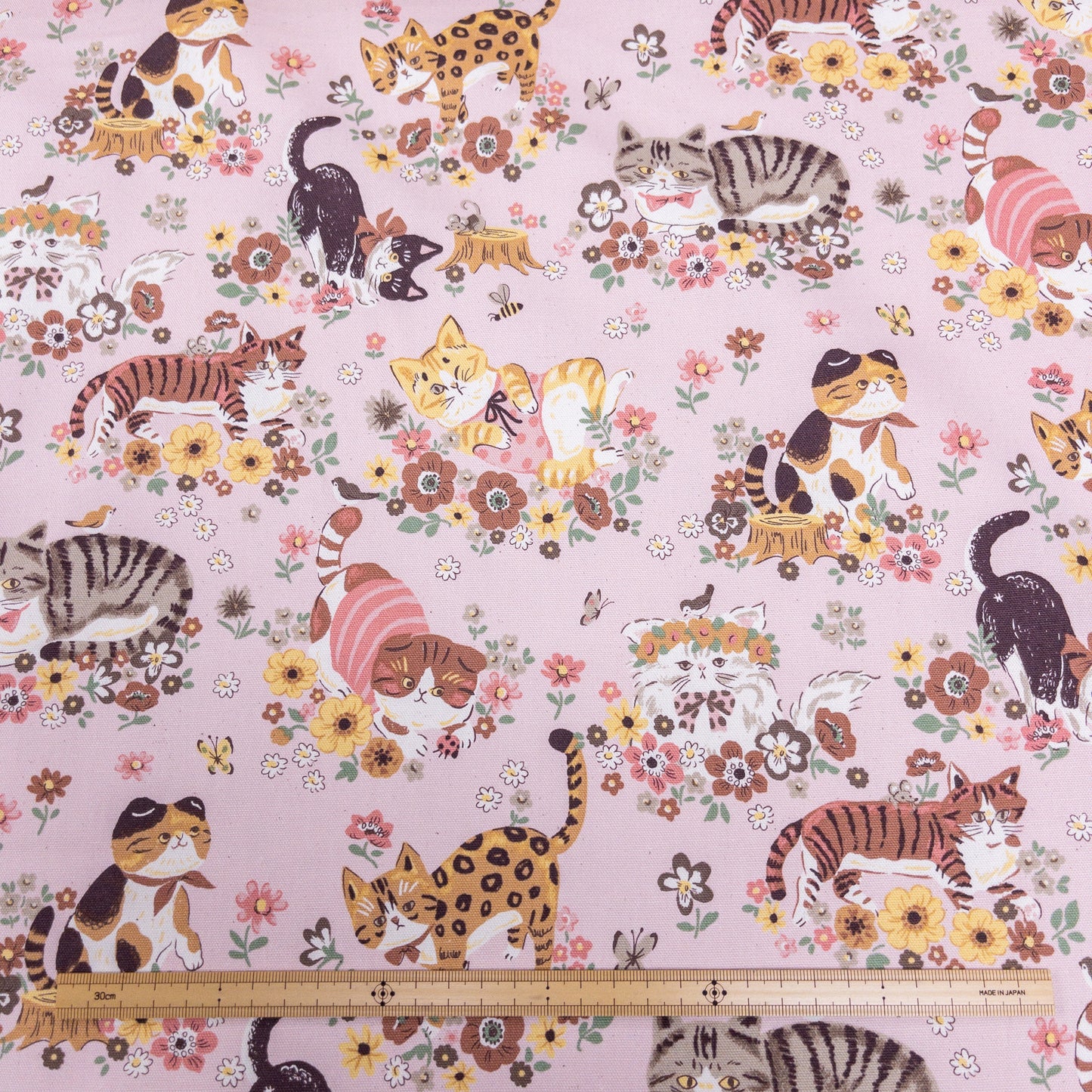 Japan | spring cat 花蝴蝶貓貓 | cotton printed oxford 純棉