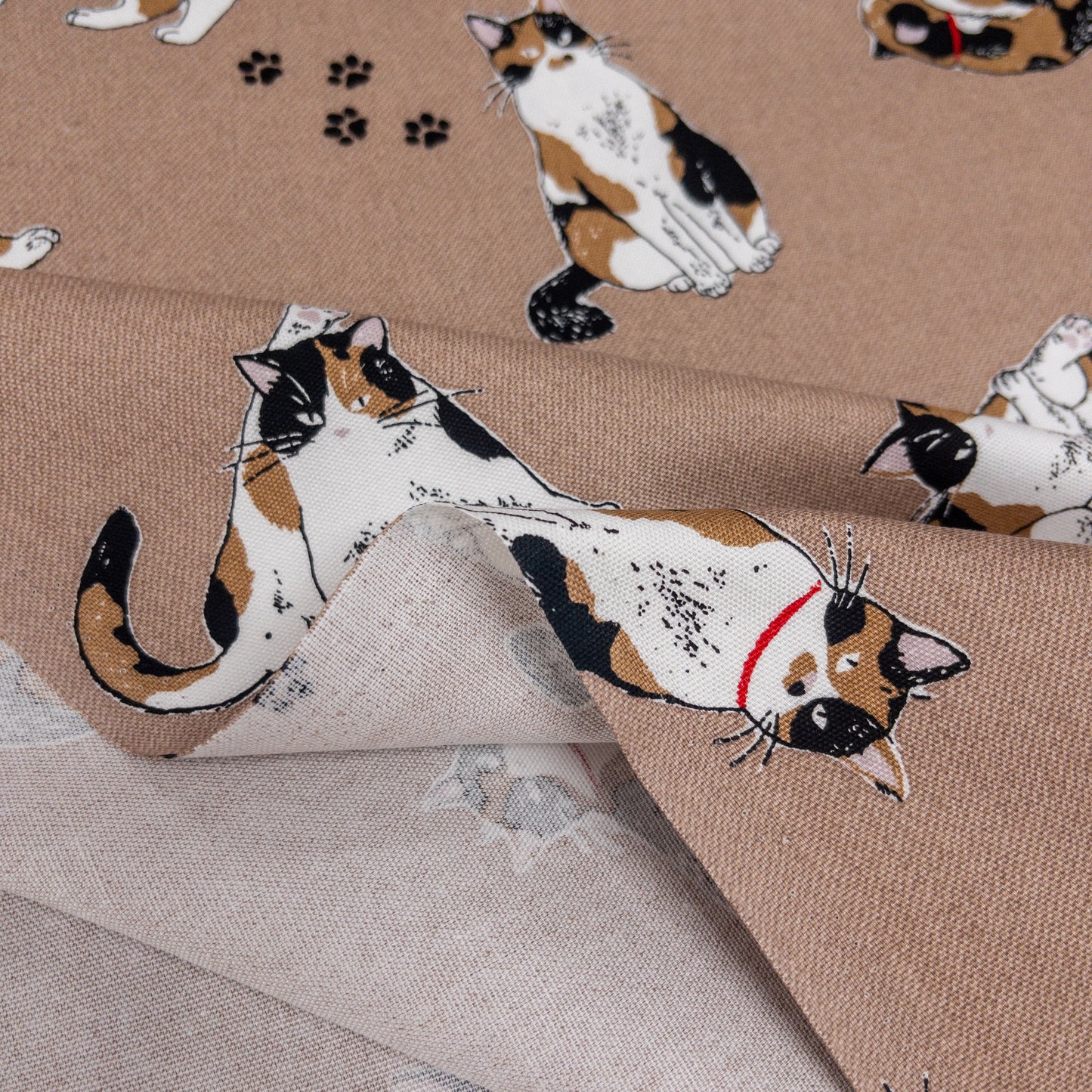 Japan | calico cat 三色貓 | cotton printed oxford 純棉