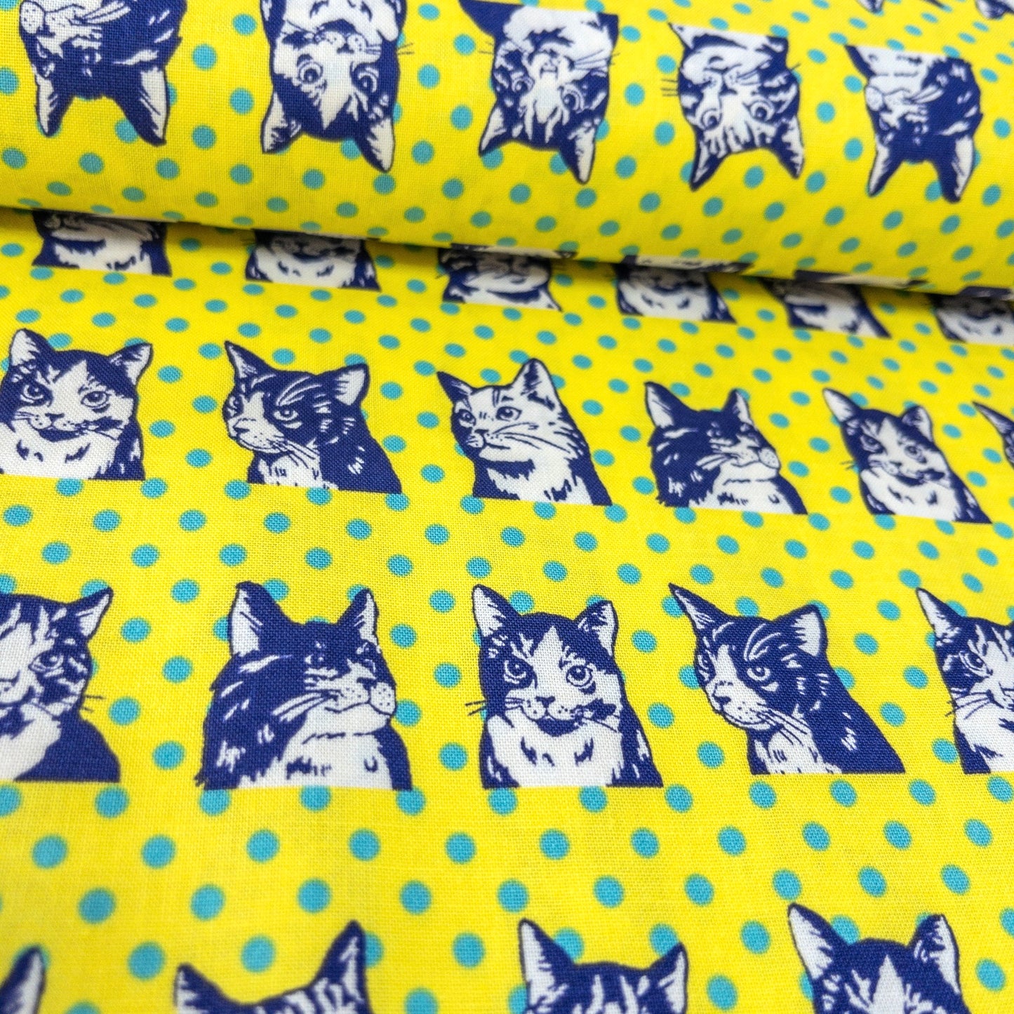 Japan | dots cat 波點拼色貓貓 | cotton printed sheeting 純棉