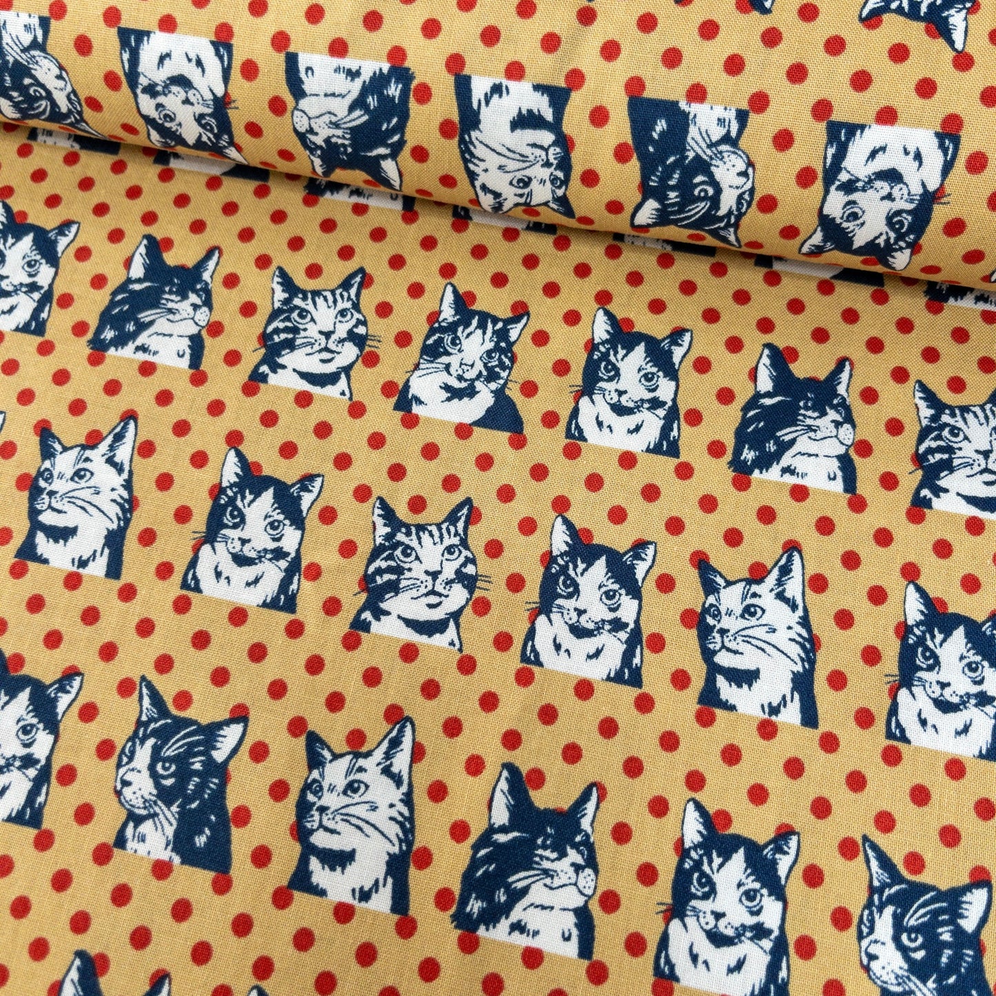 Japan | dots cat 波點拼色貓貓 | cotton printed sheeting 純棉