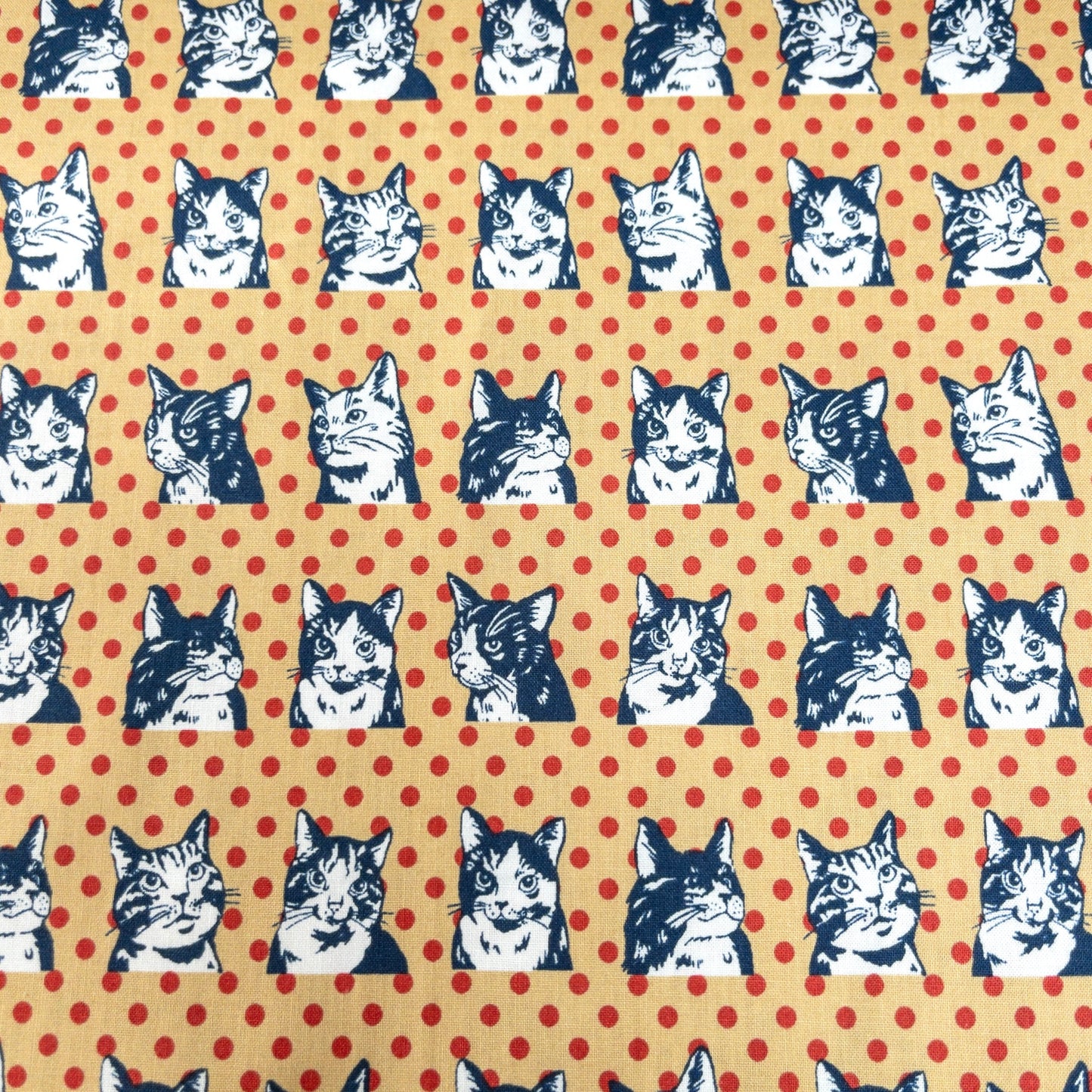 Japan | dots cat 波點拼色貓貓 | cotton printed sheeting 純棉
