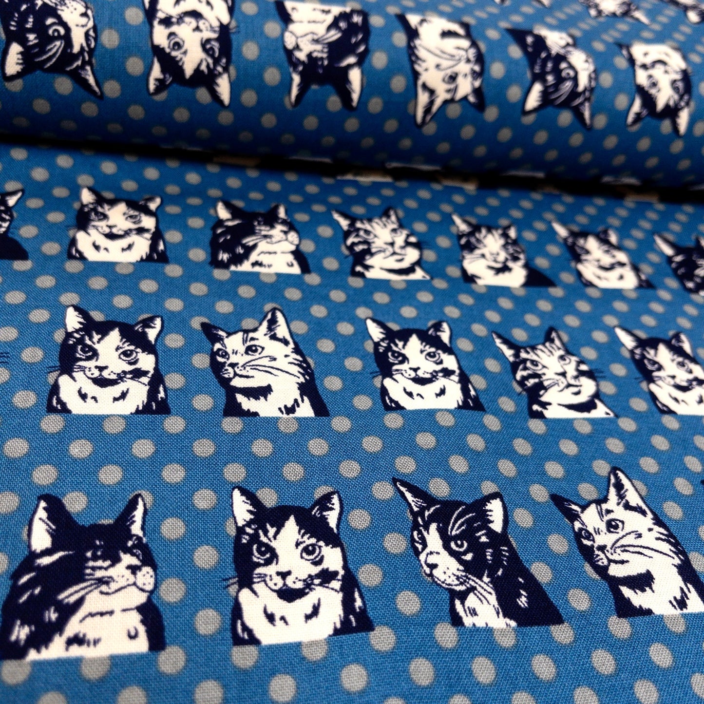 Japan | dots cat 波點拼色貓貓 | cotton printed sheeting 純棉