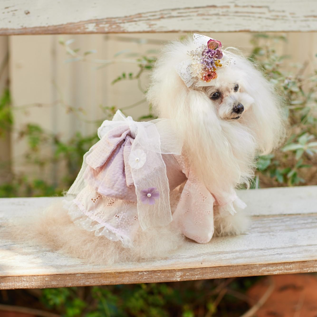 Japan | Cute dog clothes for small dogs 適合小型犬的可愛狗狗衣服 | books 書籍