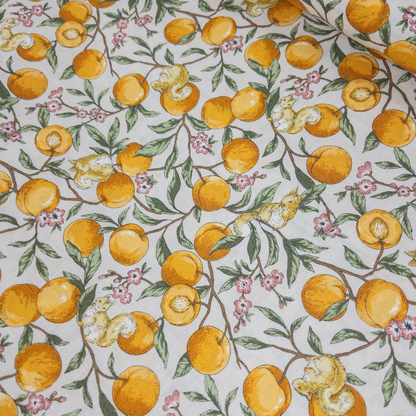 Japan | peach squirrel 桃子松鼠 | cotton printed sheeting 純棉