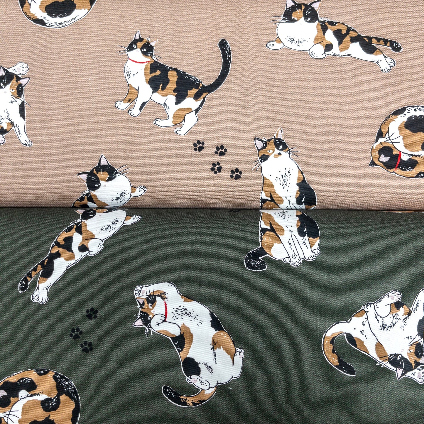 Japan | calico cat 三色貓 | cotton printed oxford 純棉