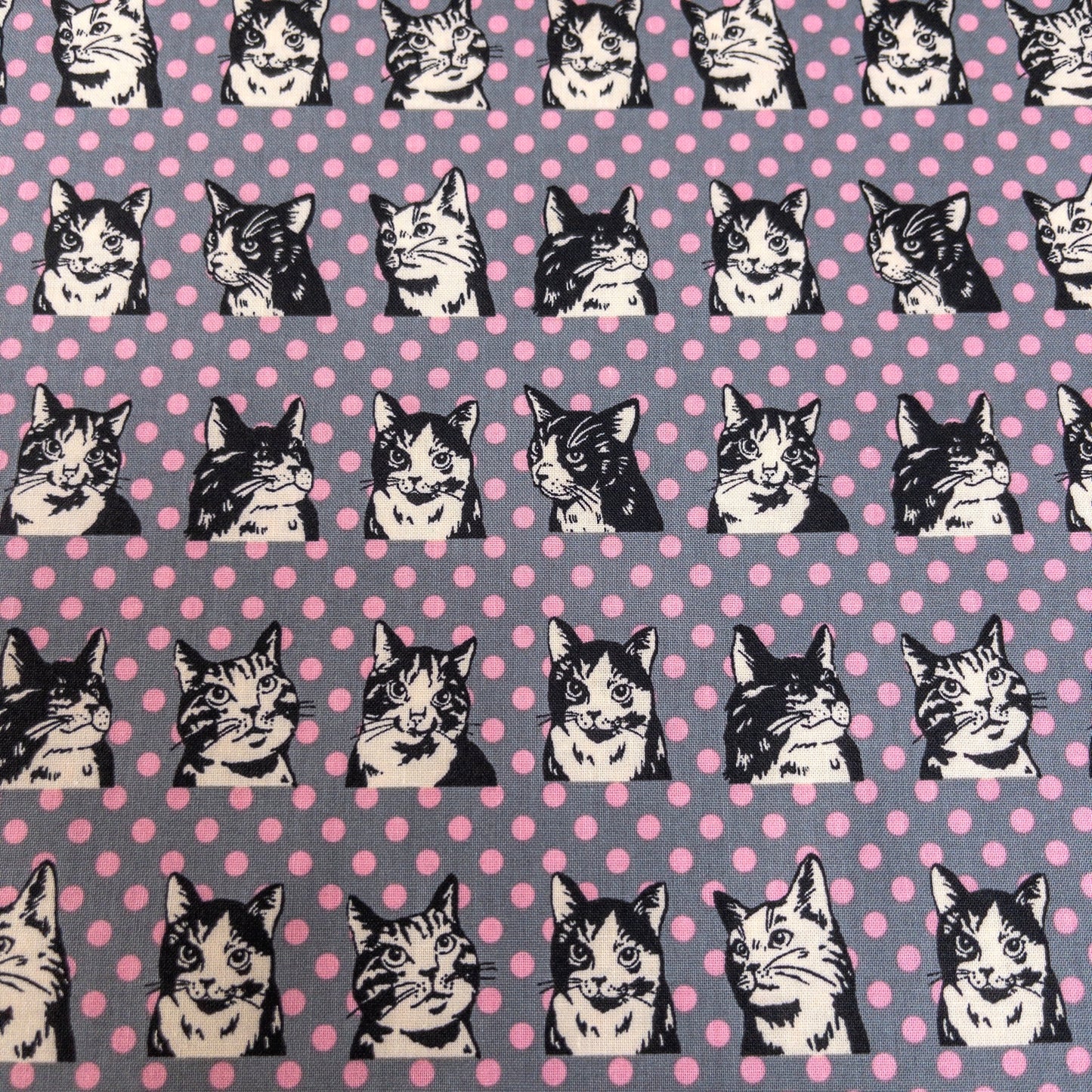 Japan | dots cat 波點拼色貓貓 | cotton printed sheeting 純棉