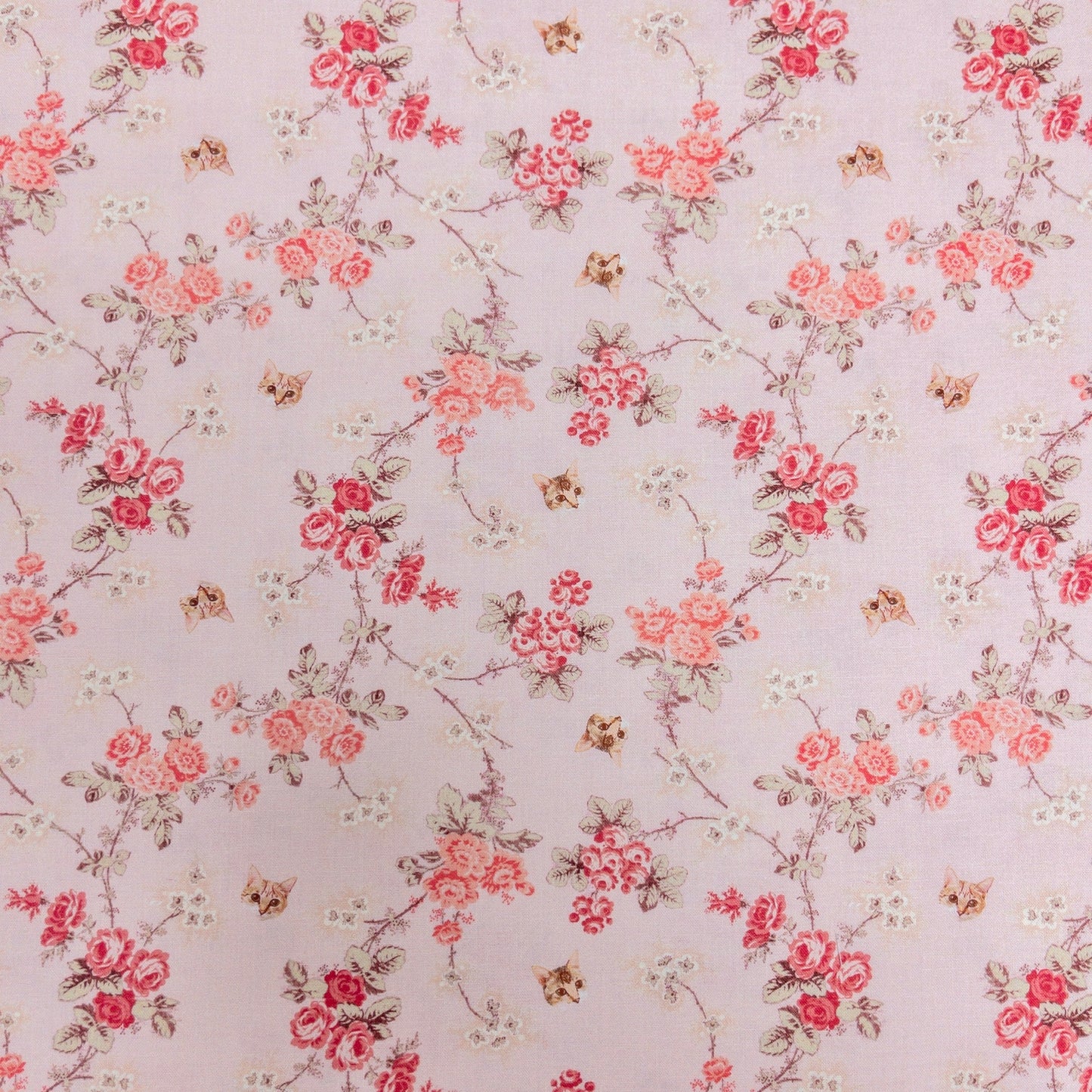 nora. | vintage flower kitten 復古花小貓 | cotton 純棉