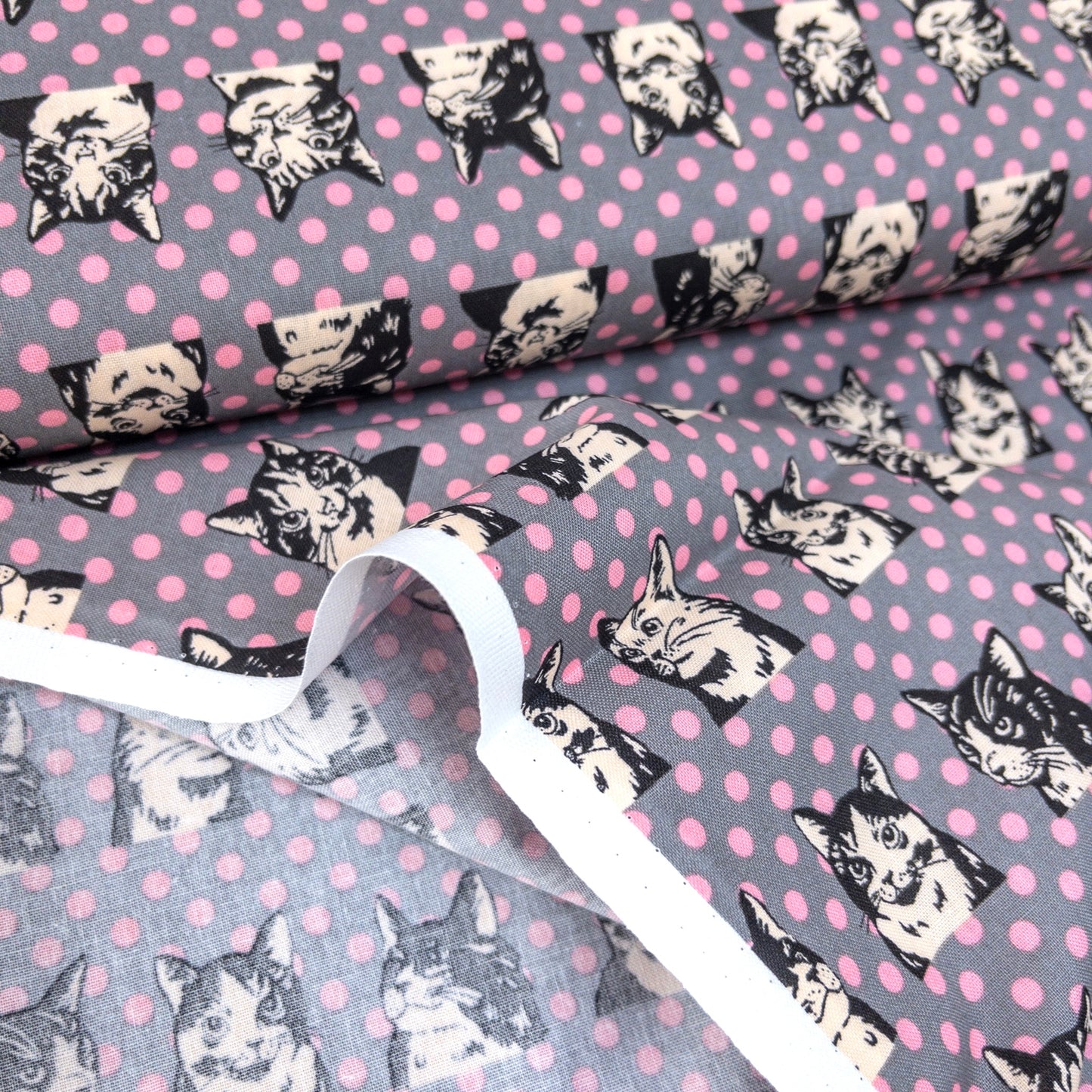 Japan | dots cat 波點拼色貓貓 | cotton printed sheeting 純棉