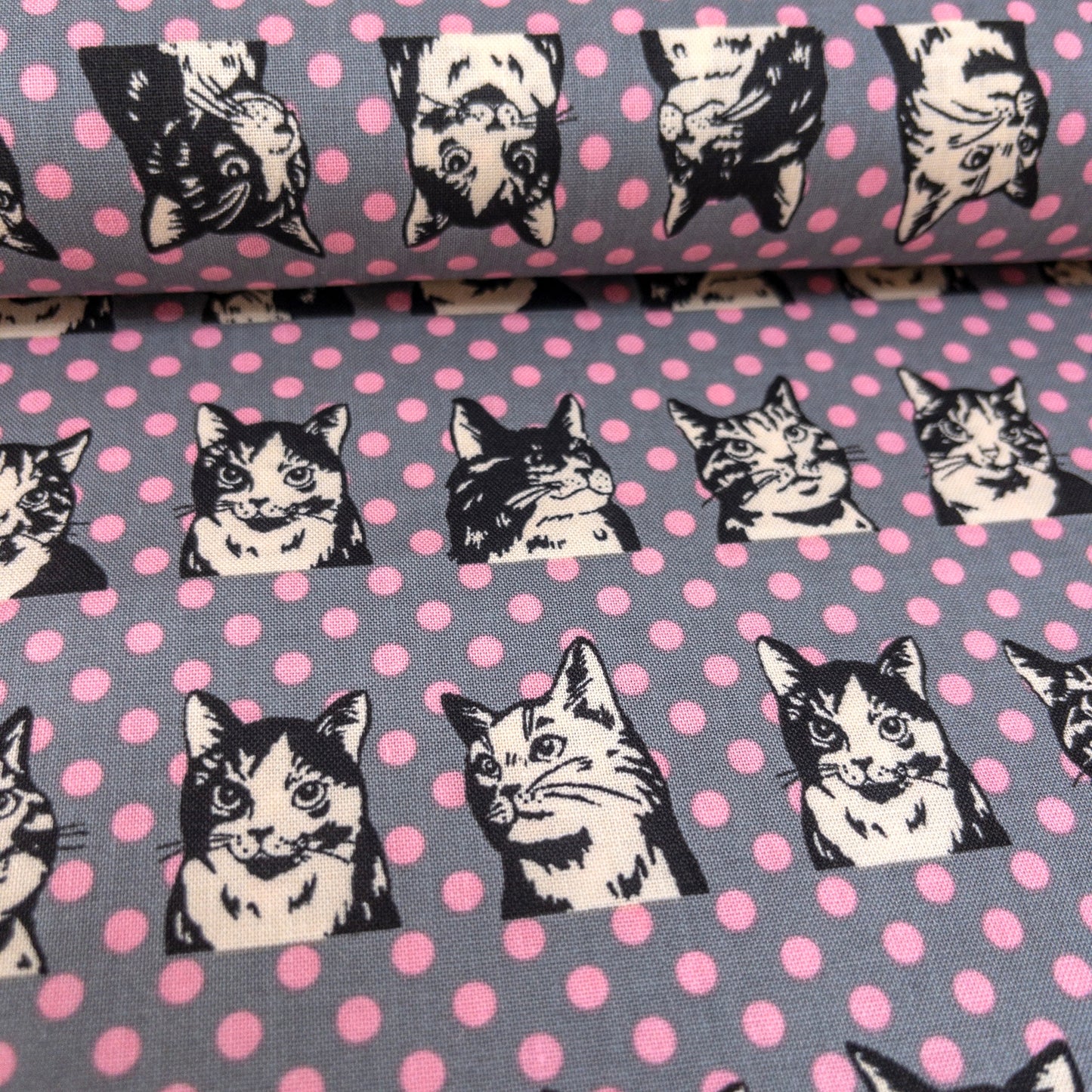 Japan | dots cat 波點拼色貓貓 | cotton printed sheeting 純棉