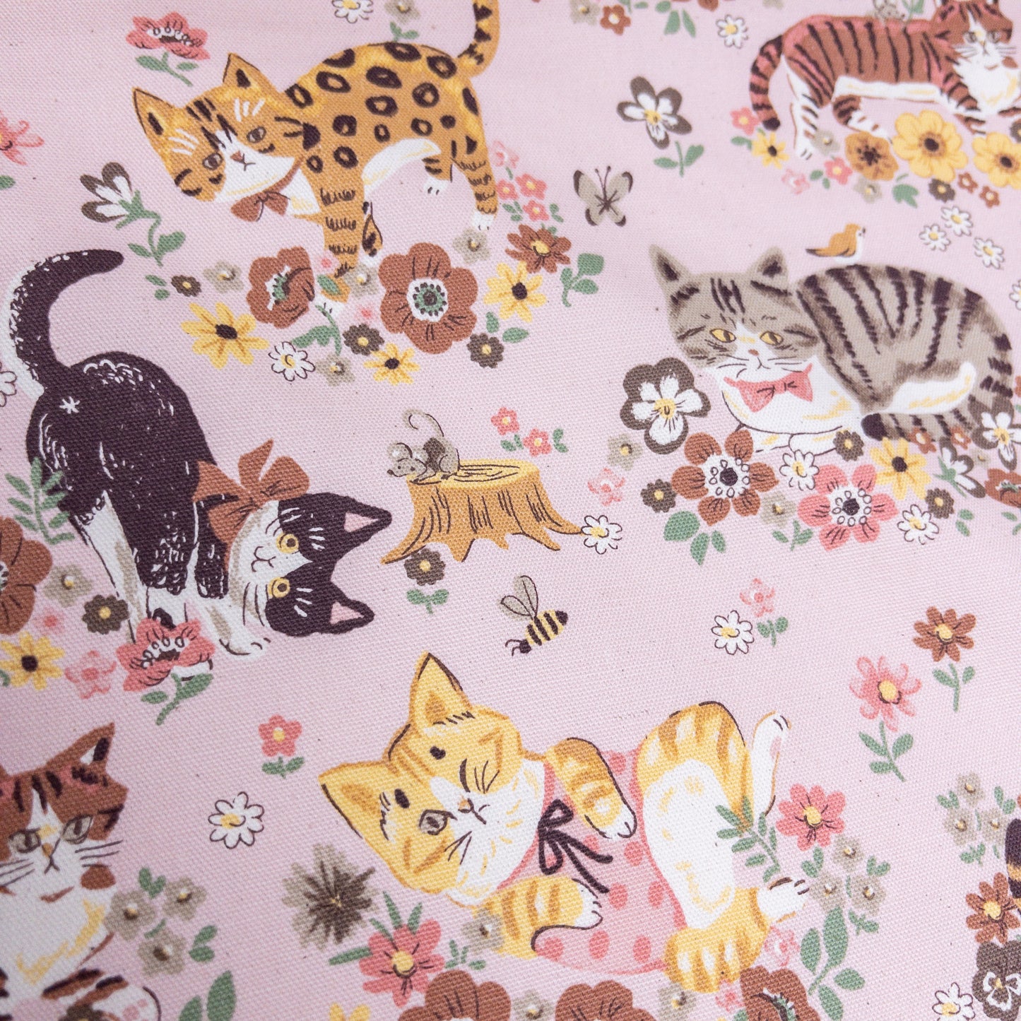 Japan | spring cat 花蝴蝶貓貓 | cotton printed oxford 純棉