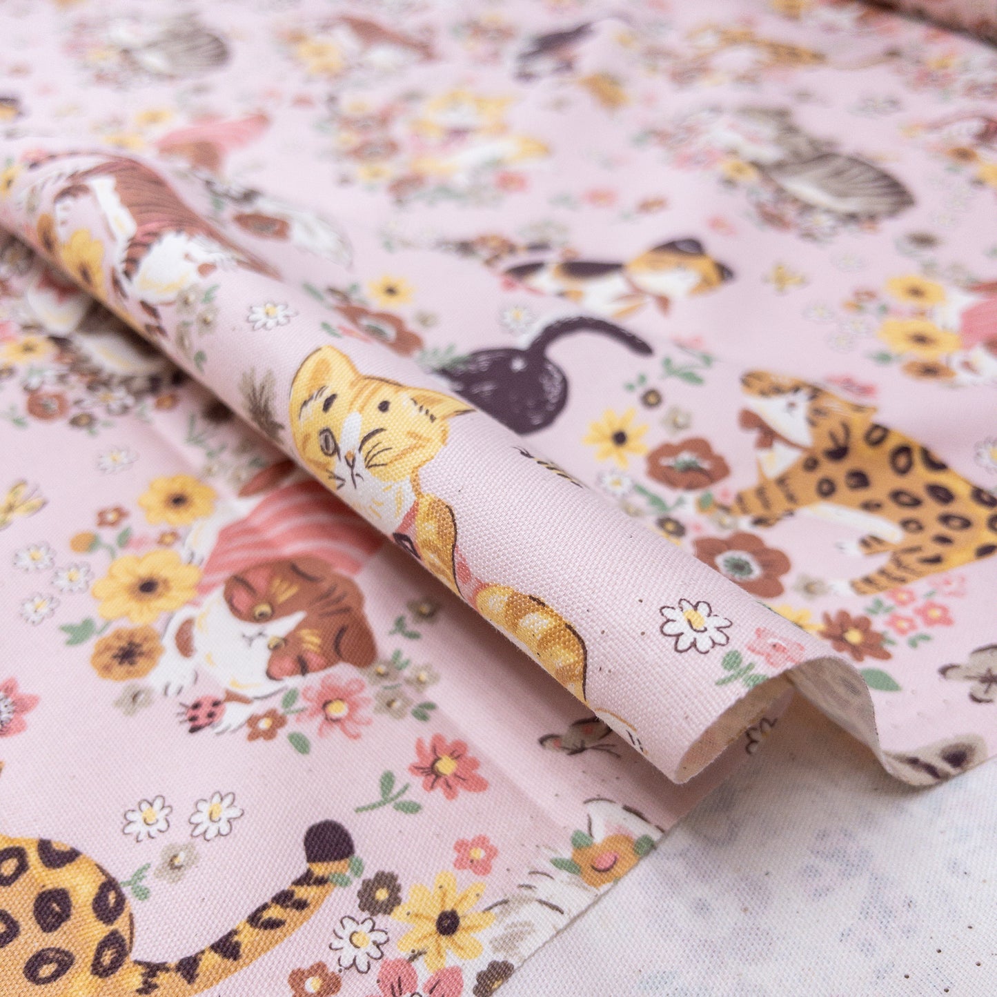 Japan | spring cat 花蝴蝶貓貓 | cotton printed oxford 純棉