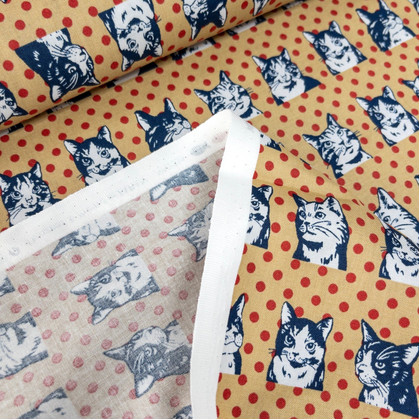 Japan | dots cat 波點拼色貓貓 | cotton printed sheeting 純棉
