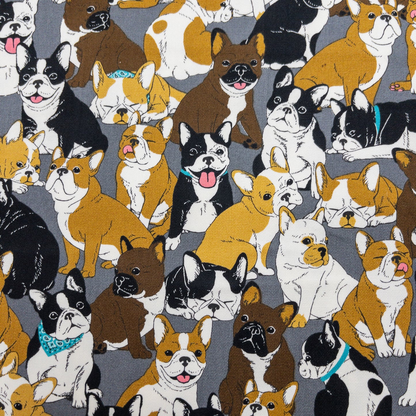 Japan | bulldog 老虎狗 | cotton printed oxford 純棉