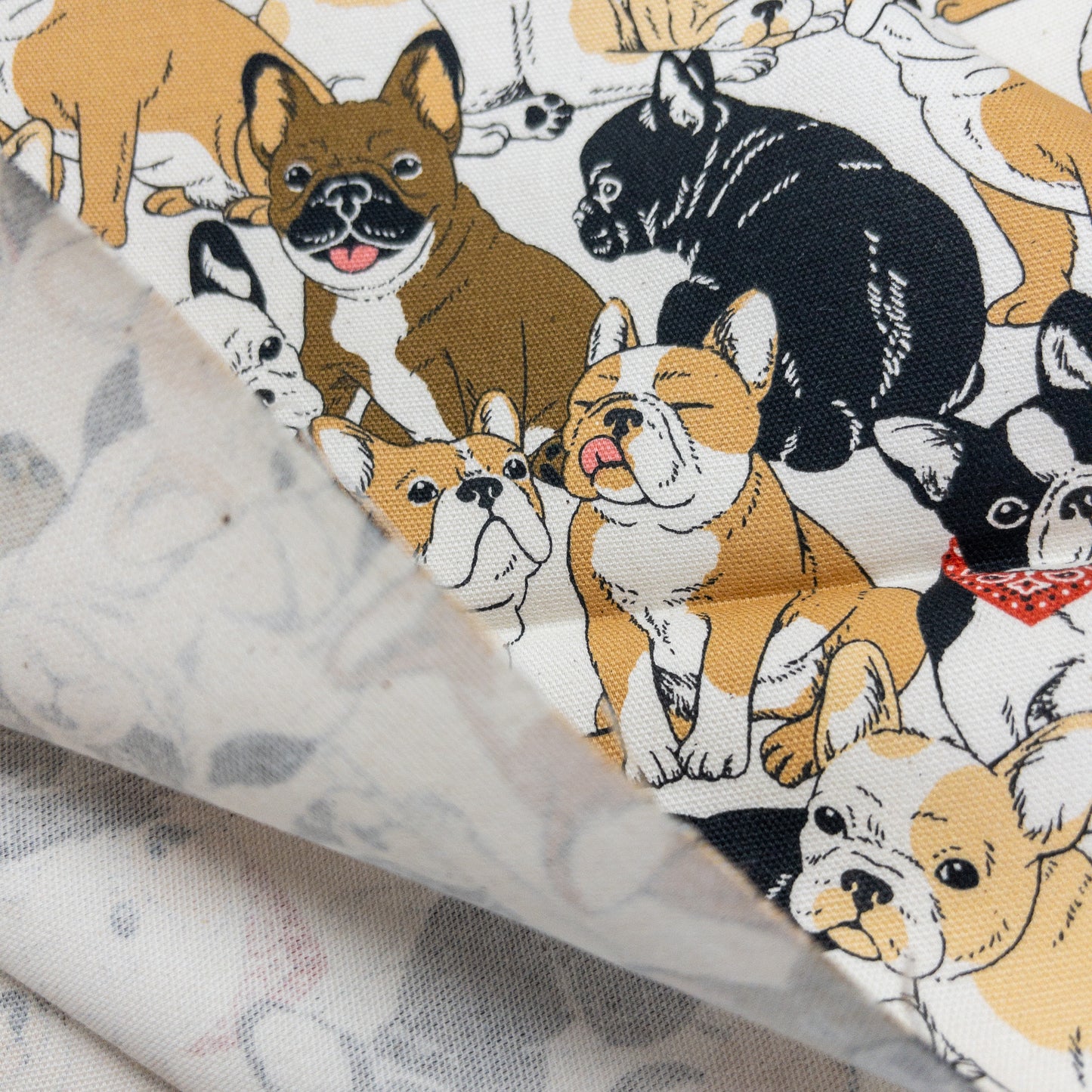 Japan | bulldog 老虎狗 | cotton printed oxford 純棉