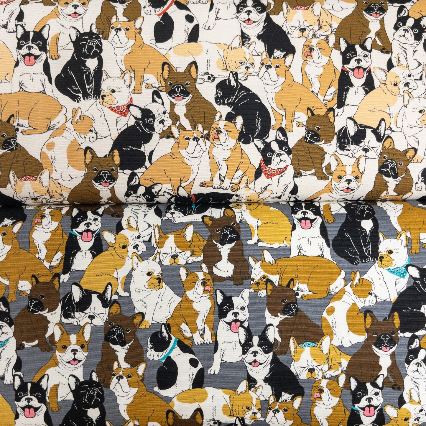 Japan | bulldog 老虎狗 | cotton printed oxford 純棉