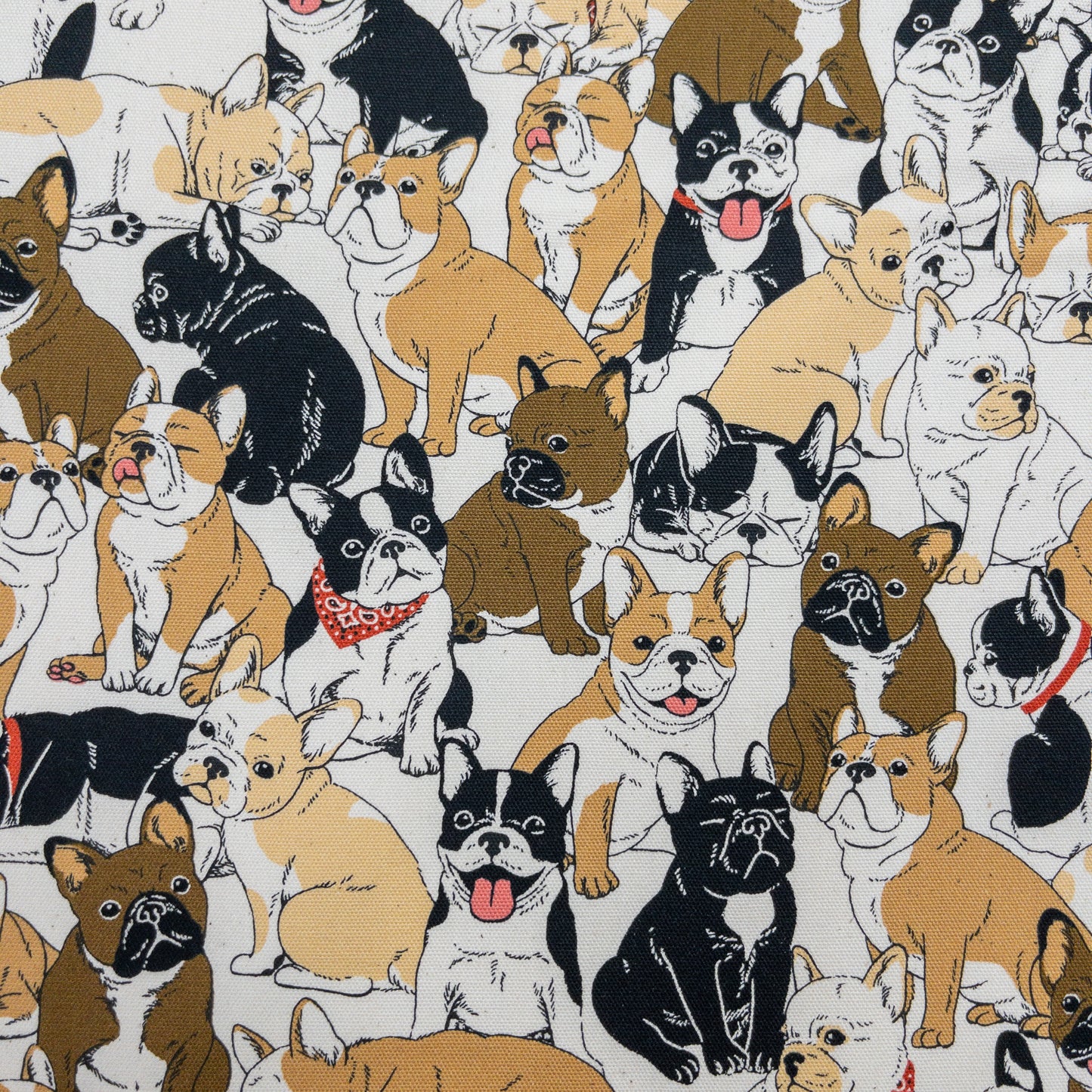 Japan | bulldog 老虎狗 | cotton printed oxford 純棉