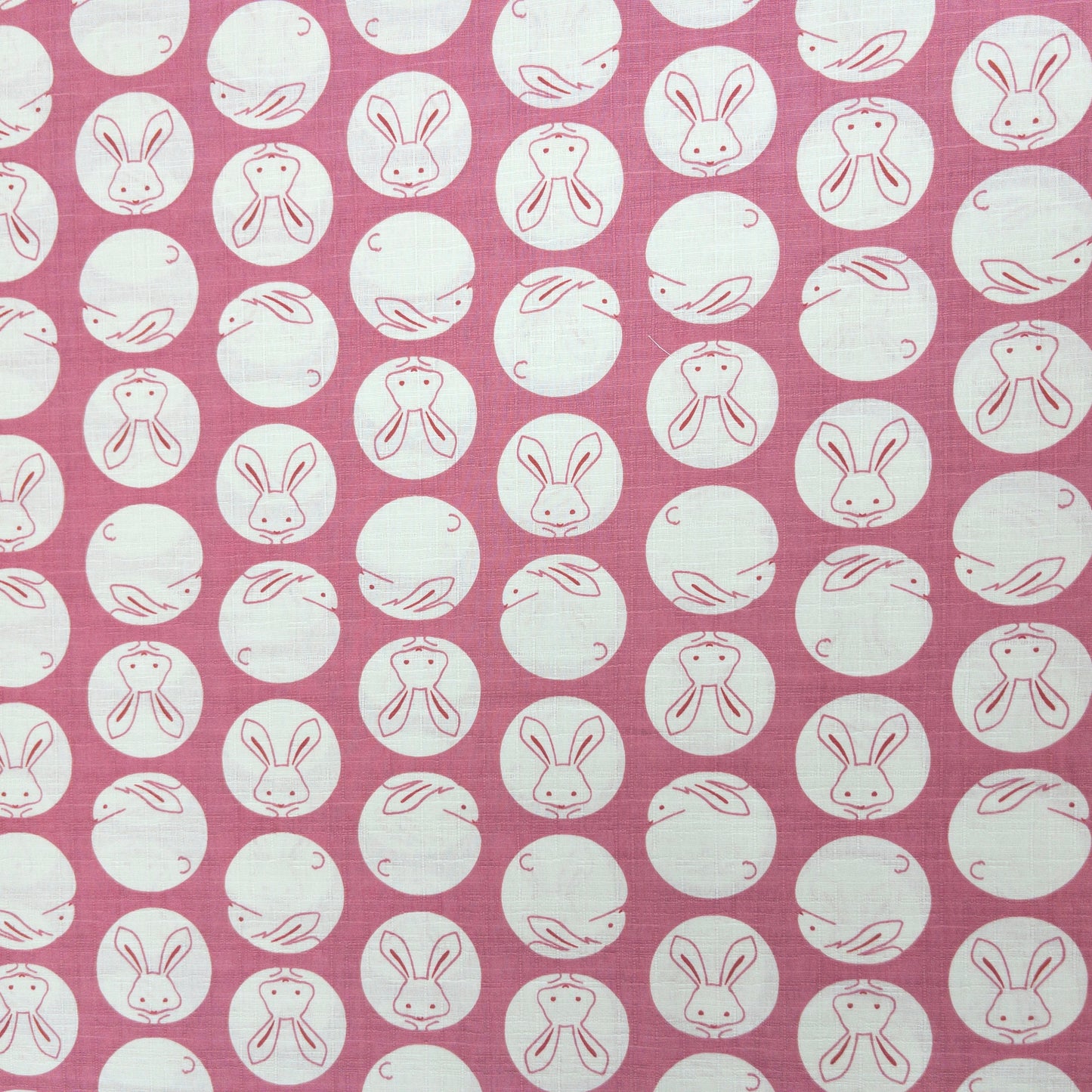 Japan | round rabbit 圓形白兔 | cotton shantung 竹節棉