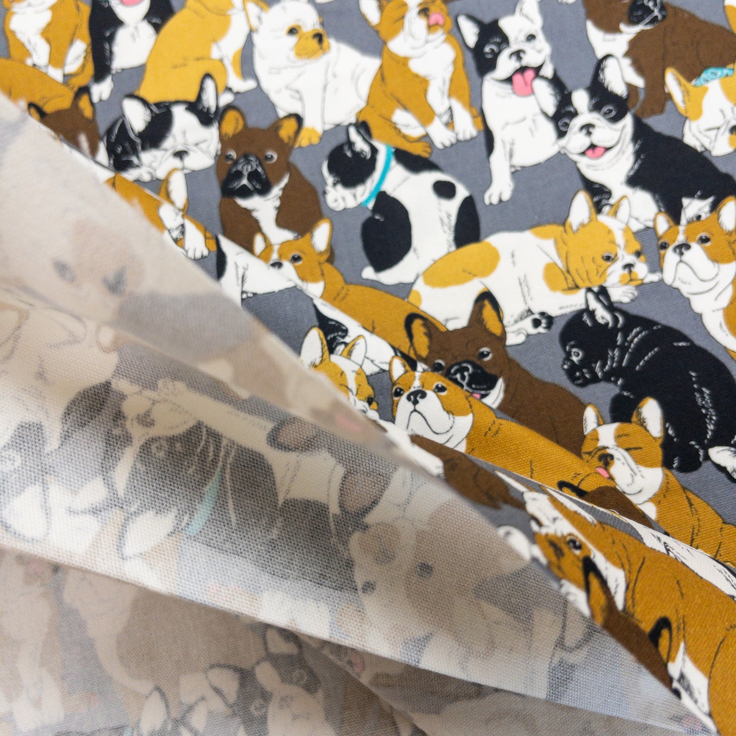Japan | bulldog 老虎狗 | cotton printed oxford 純棉