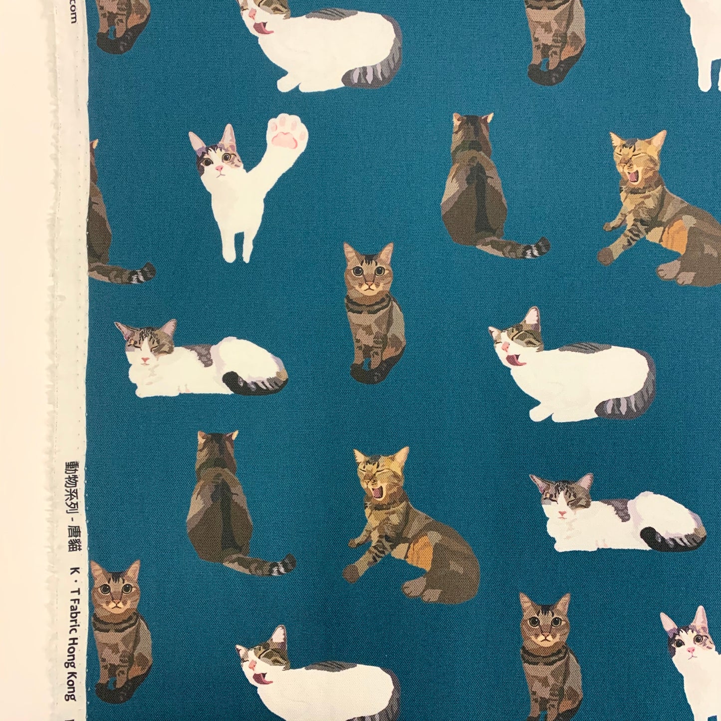 【K‧T FABRIC】唐貓cute moggie cotton printed oxford 純棉