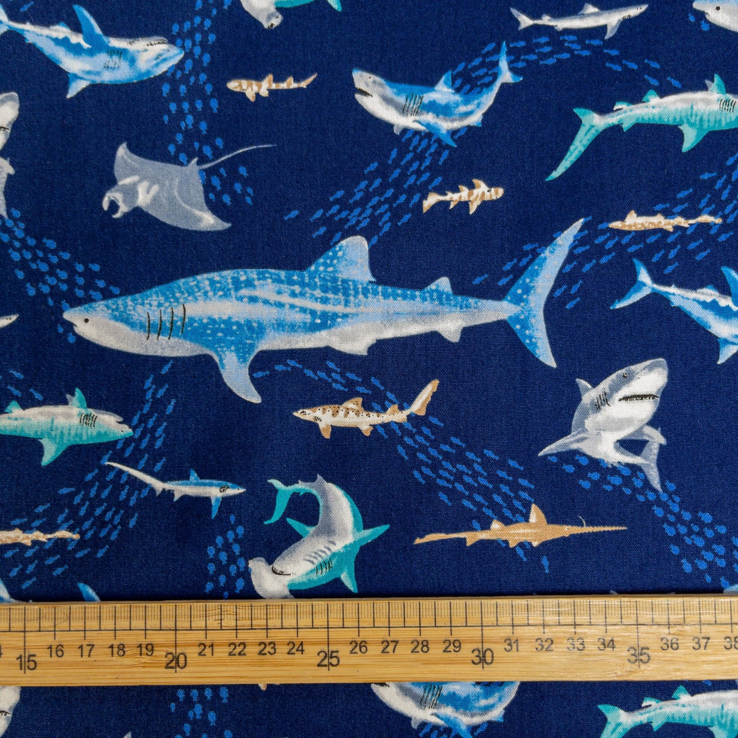 Japan | sea creatures fish 海洋動物 魚 | cotton printed poplin 純棉