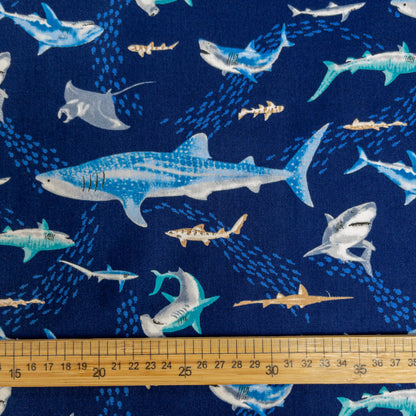 Japan | sea creatures fish 海洋動物 魚 | cotton printed sheeting 純棉