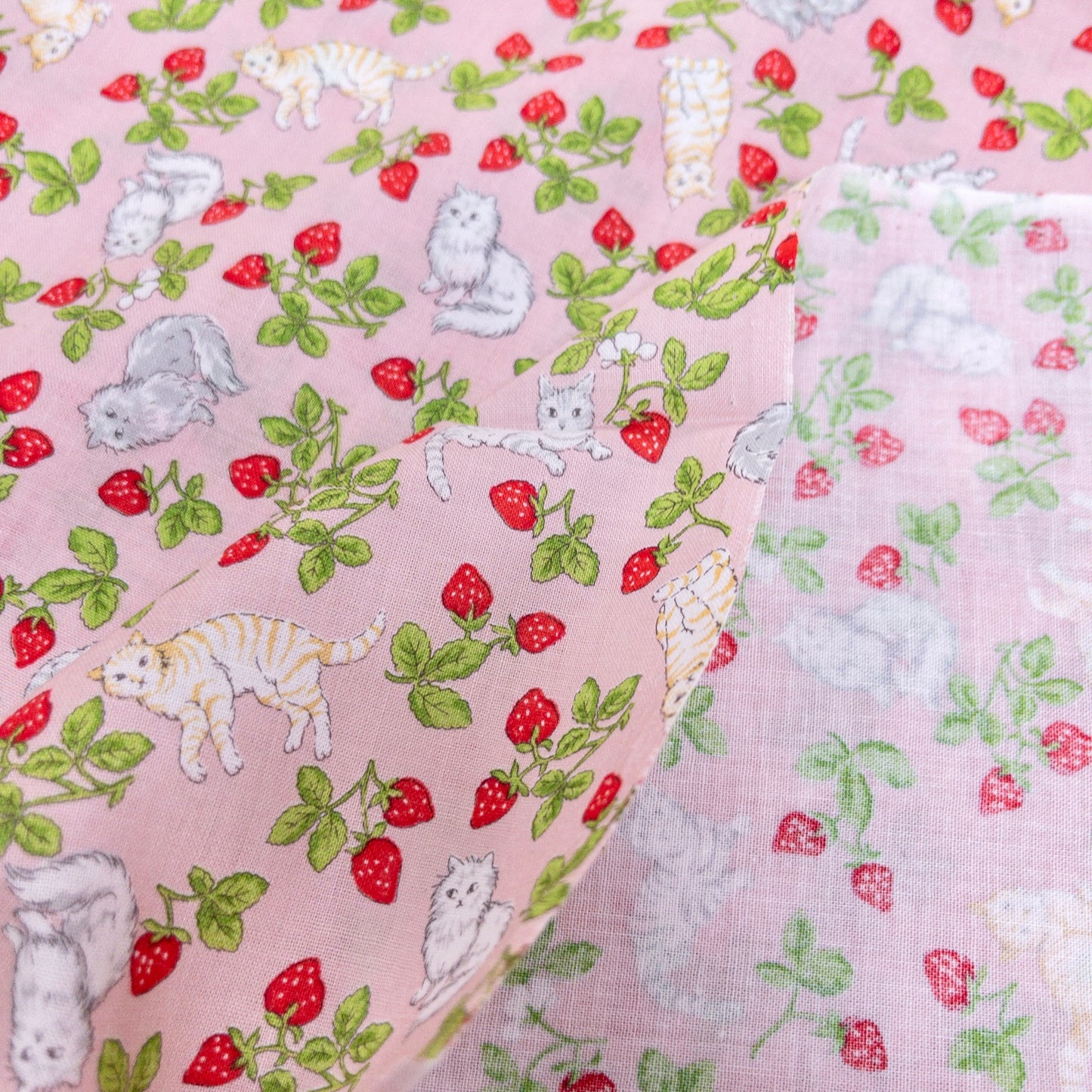 Japan | strawberry cats 士多啤梨草莓貓貓 | cotton printed sheeting 純棉