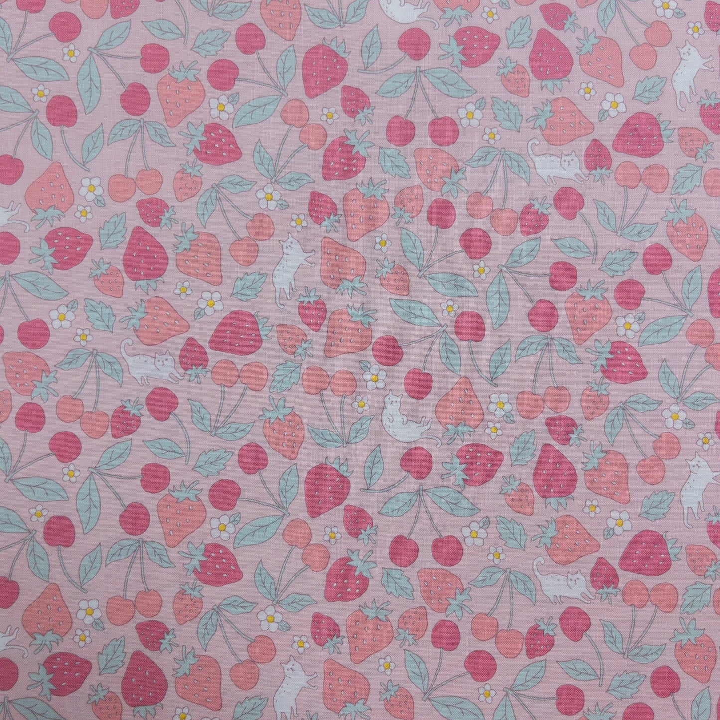 Japan | dream girl strawberry cat 士多啤梨貓貓 | cotton printed sheeting 純棉