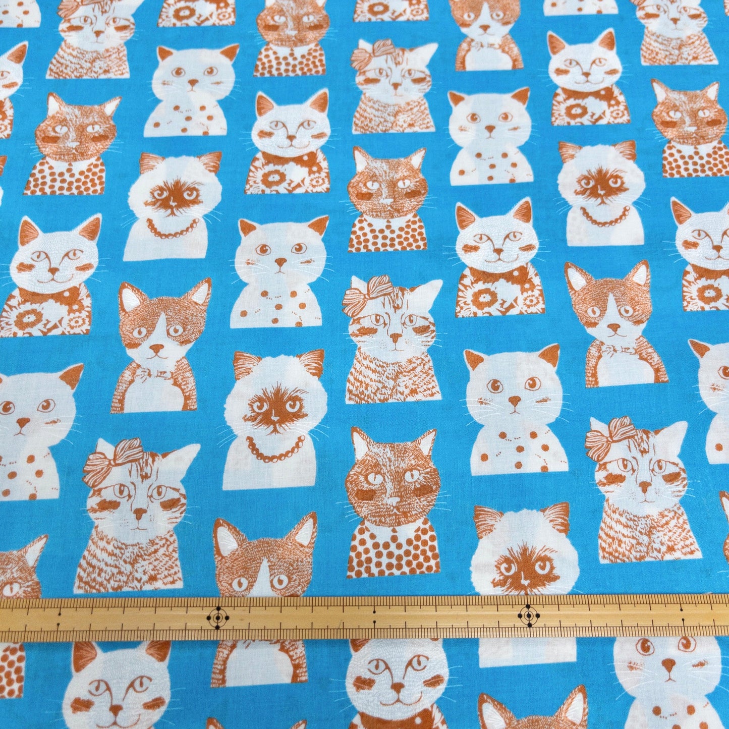 Japan | fashion cat 時裝貓貓 | cotton printed 60s 純棉