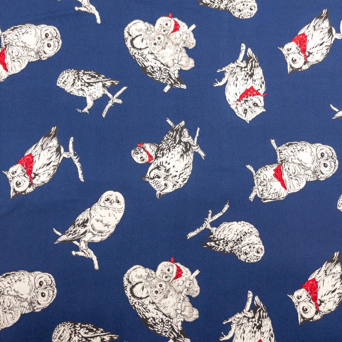 Japan | scarf owl 領巾貓頭鷹 | cotton printed oxford 純棉