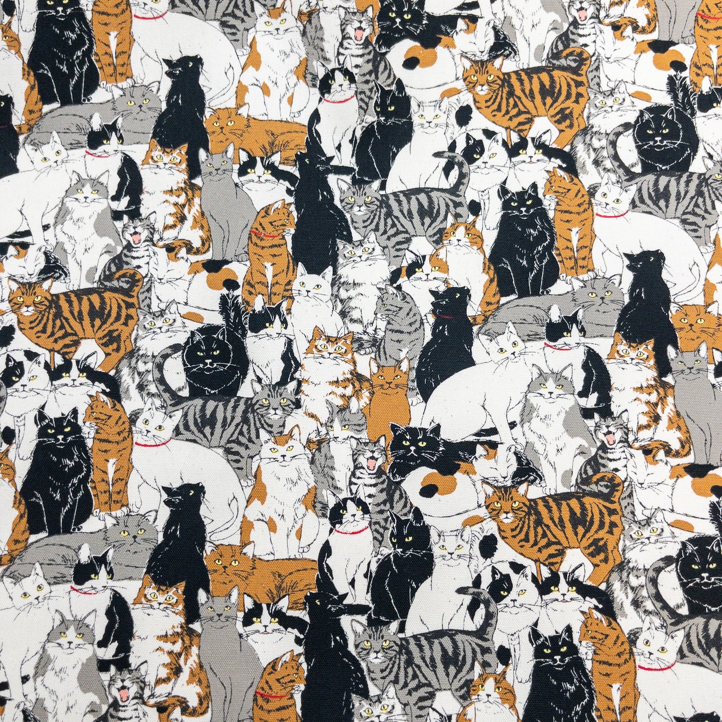 Japan | cats 密集貓貓 | cotton printed oxford 純棉