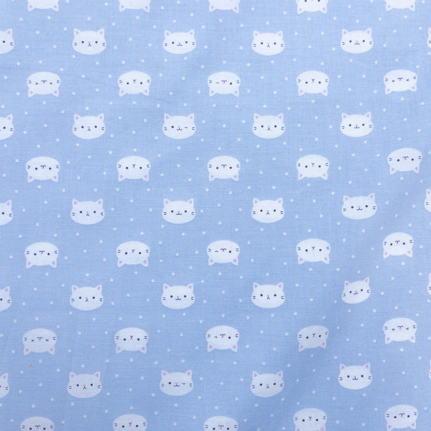 Japan | dots kitten 波點貓咪 | cotton printed sheeting 純棉