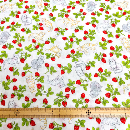 Japan | strawberry cats 士多啤梨草莓貓貓 | cotton printed sheeting 純棉