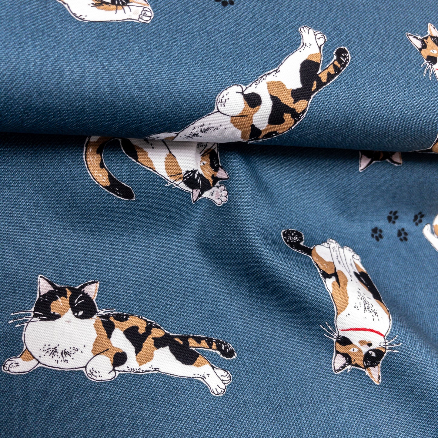 Japan | calico cat 三色貓 | cotton printed oxford 純棉