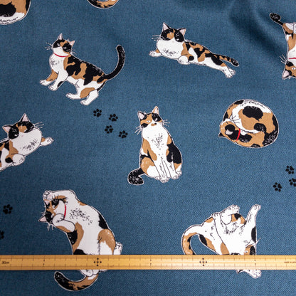 Japan | calico cat 三色貓 | cotton printed oxford 純棉