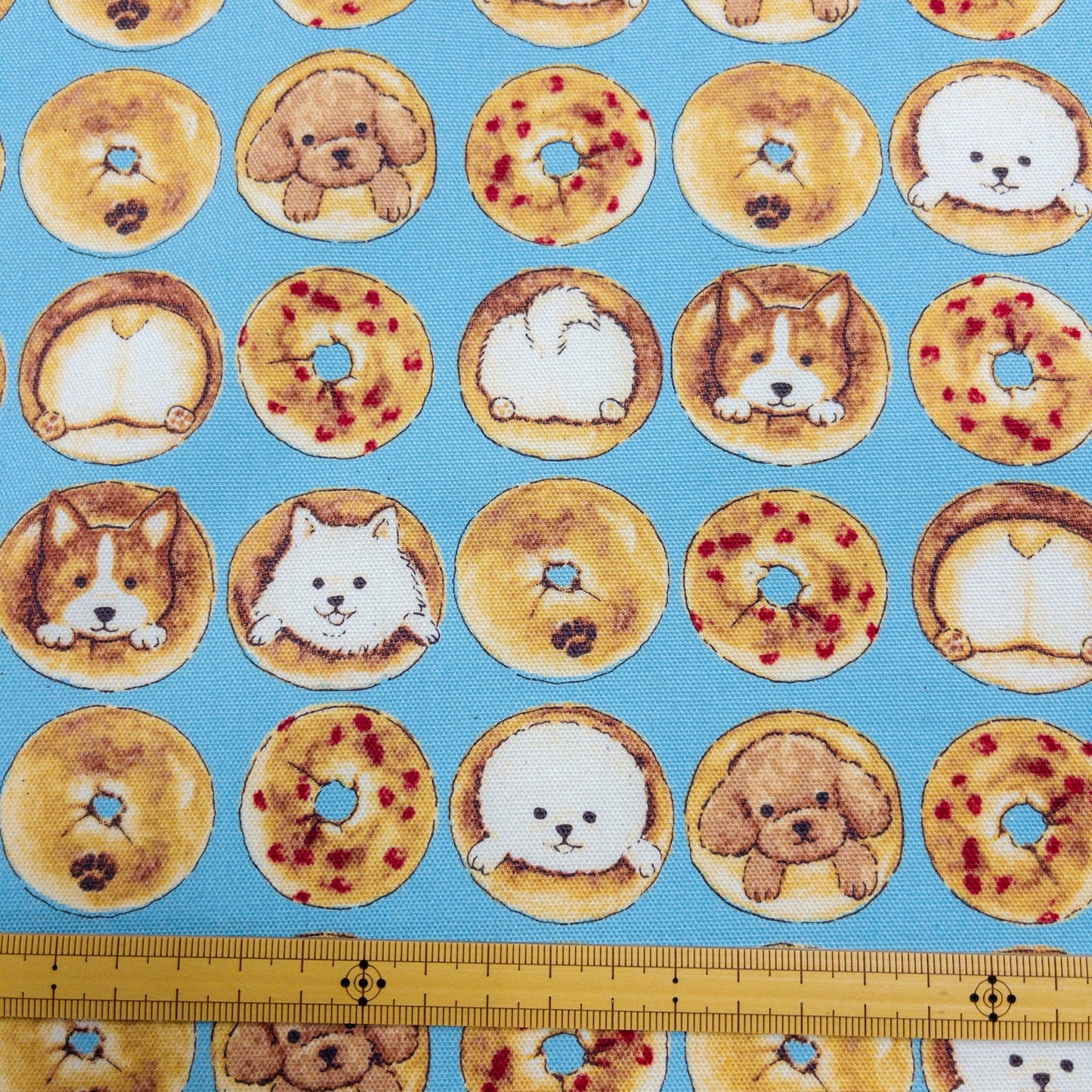 Japan | Bagel Dogs 貝果狗狗 | cotton printed oxford 純棉
