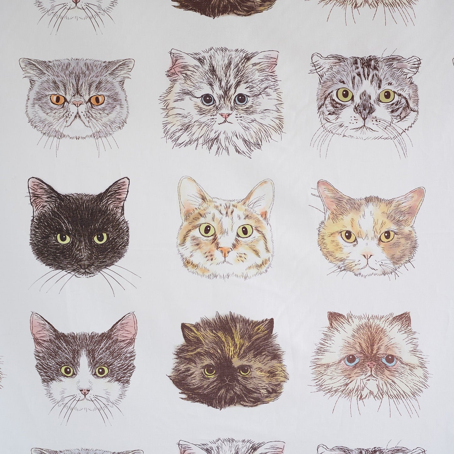 Kokka | 365 cat. art cat faces 貓臉 | cotton printed sheeting 純棉
