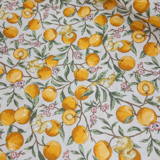 Japan | peach squirrel 桃子松鼠 | cotton printed sheeting 純棉