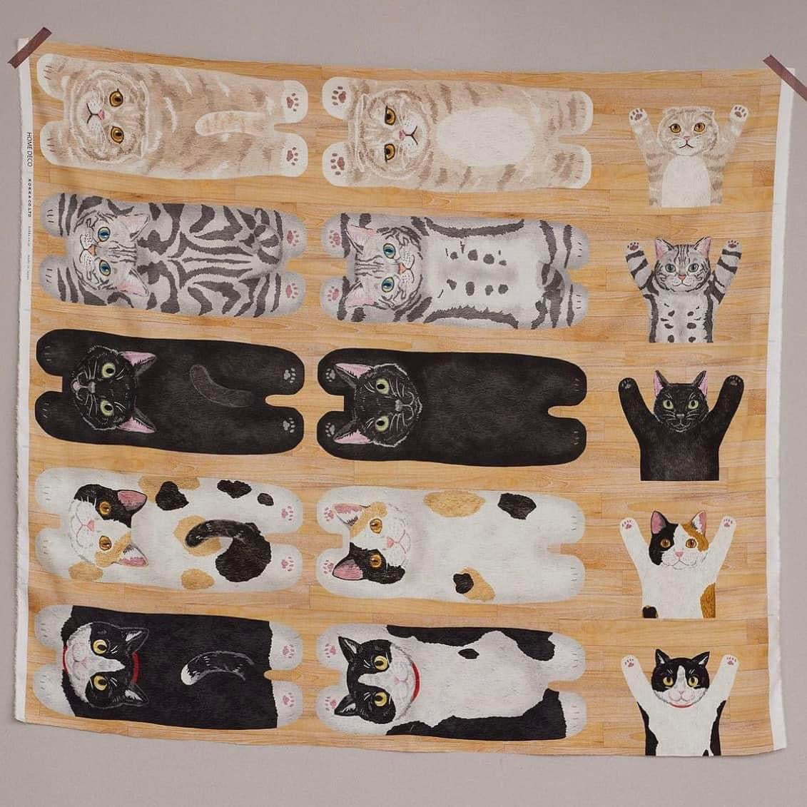 Japan | kokka home deco cat | cotton printed sheeting 純棉