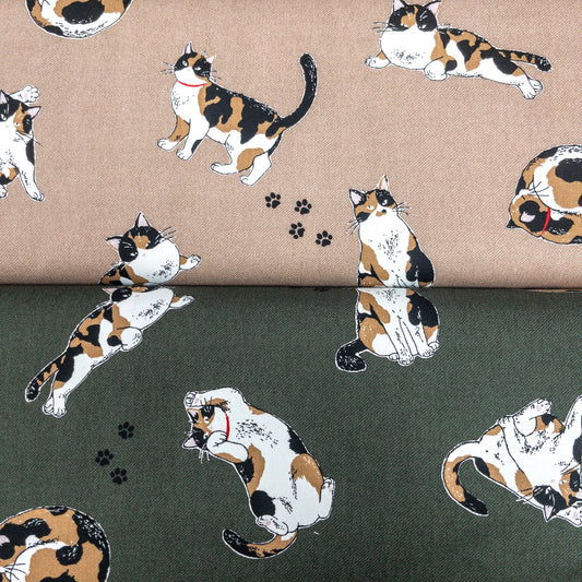 Japan | calico cat 三色貓 | cotton printed oxford 純棉