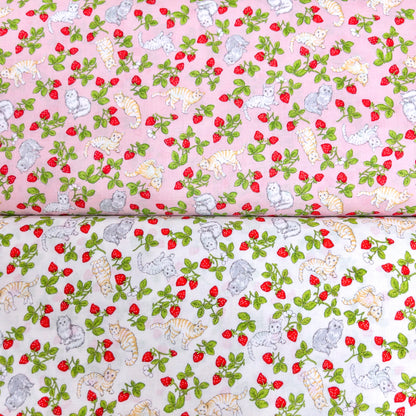 Japan | strawberry cats 士多啤梨草莓貓貓 | cotton printed sheeting 純棉