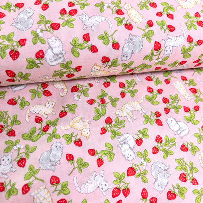 Japan | strawberry cats 士多啤梨草莓貓貓 | cotton printed sheeting 純棉