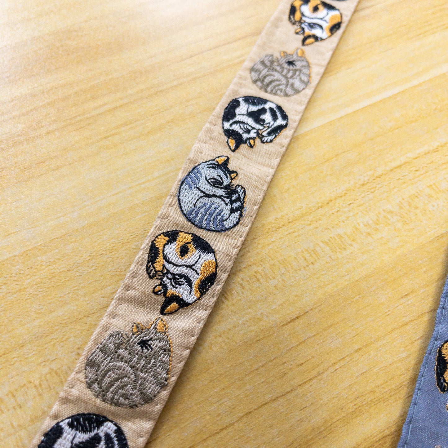 India | sleeing cats 睡貓貓 2.8cm | embroidery webbing 刺繡帶