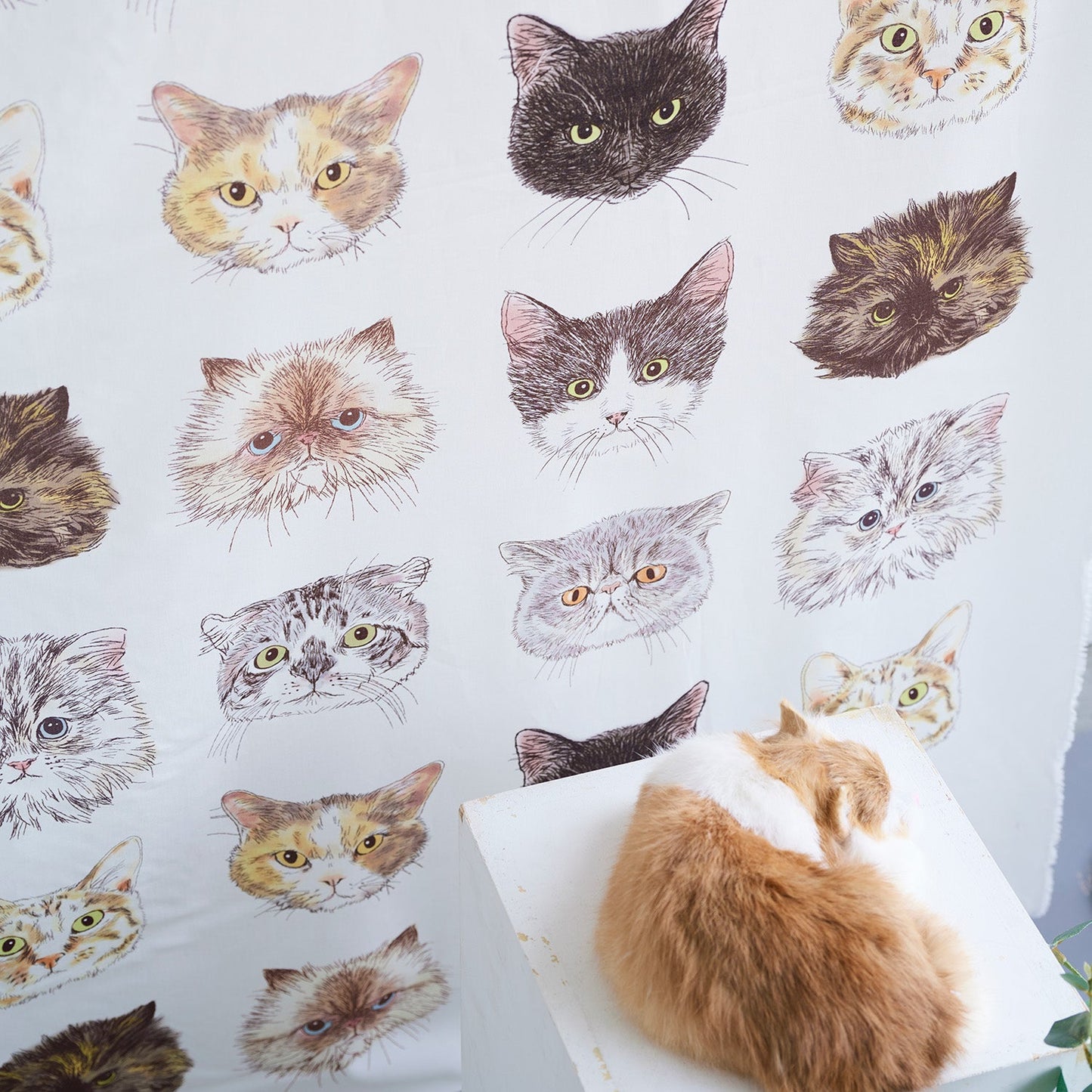 Kokka | 365 cat. art cat faces 貓臉 | cotton printed sheeting 純棉