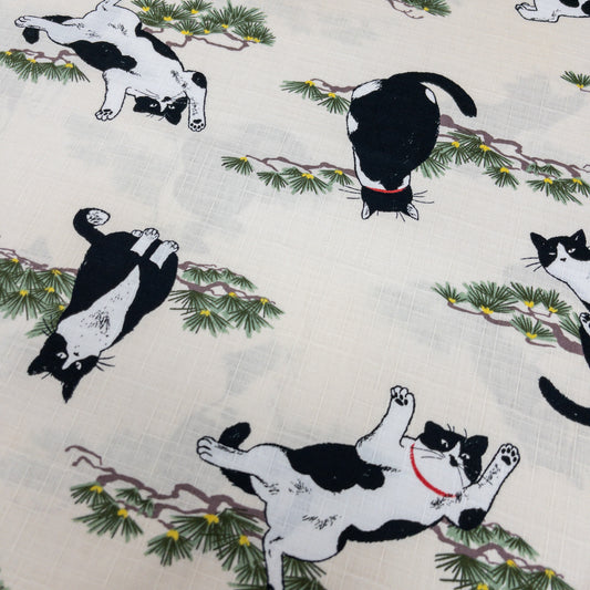 Japan | japanese pine tree black cat 和風小松樹黑貓 | cotton printed poplin 竹節棉