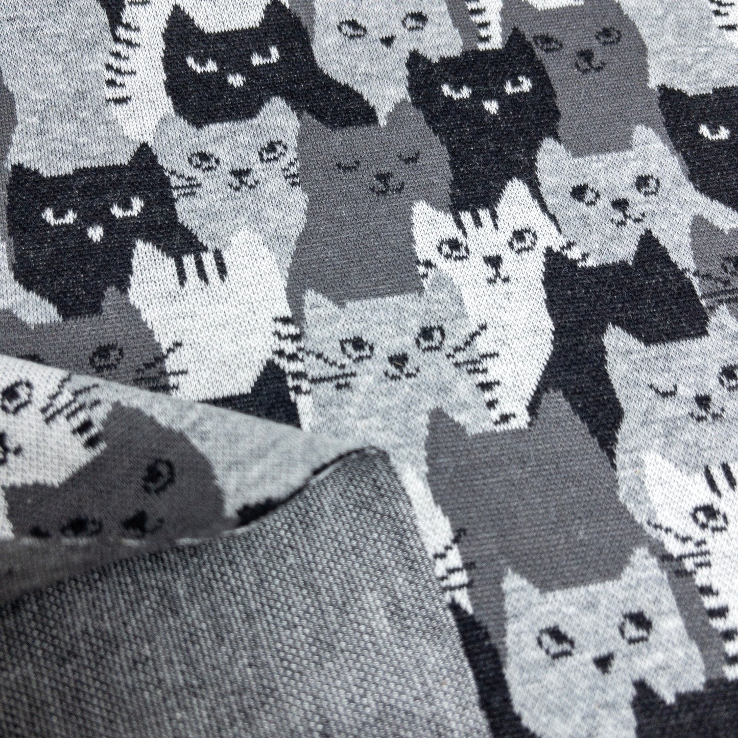 Japan | Cats 貓貓 | cotton knit jacquard 純棉針織提花