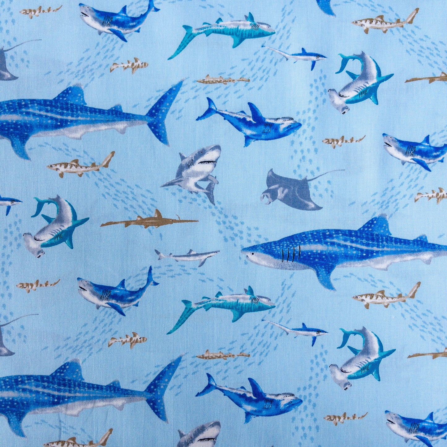 Japan | sea creatures fish 海洋動物 魚 | cotton printed poplin 純棉
