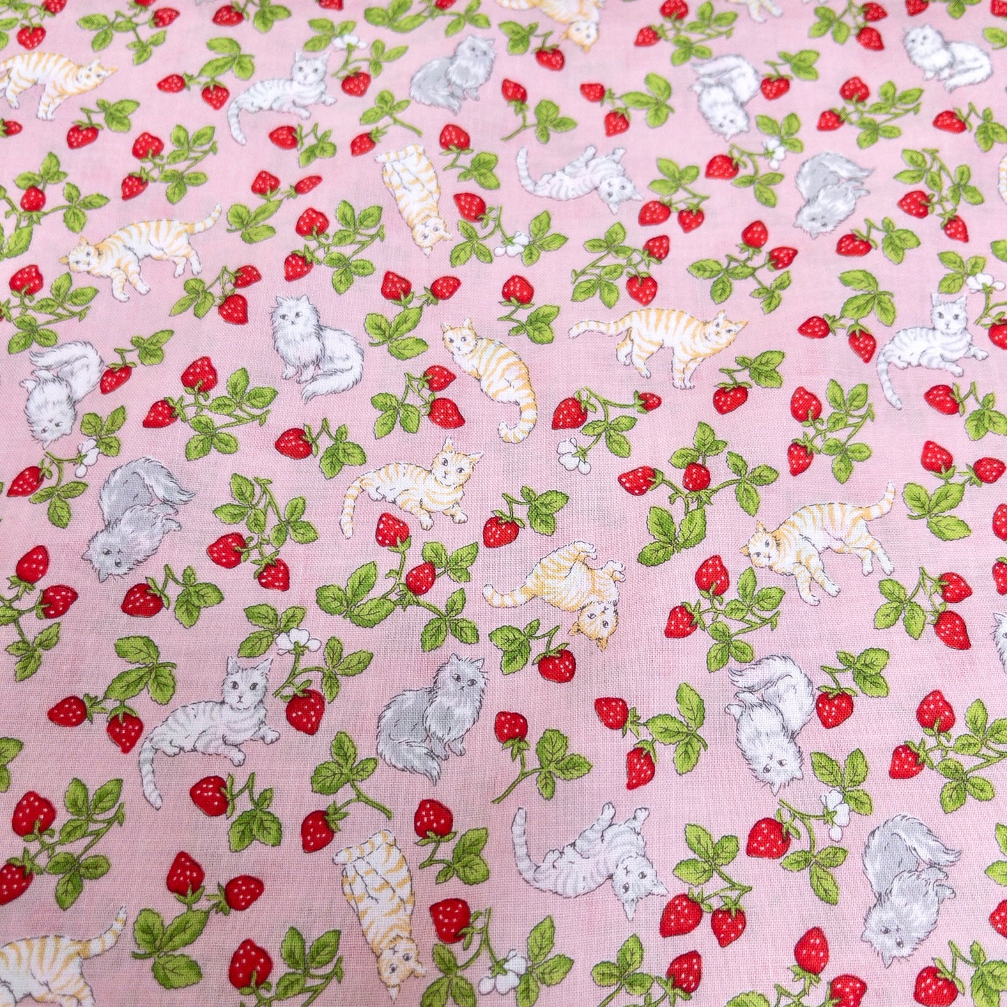 Japan | strawberry cats 士多啤梨草莓貓貓 | cotton printed sheeting 純棉