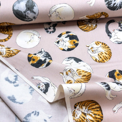 Japan | sleeping cat 睡覺貓貓 | cotton printed oxford 純棉