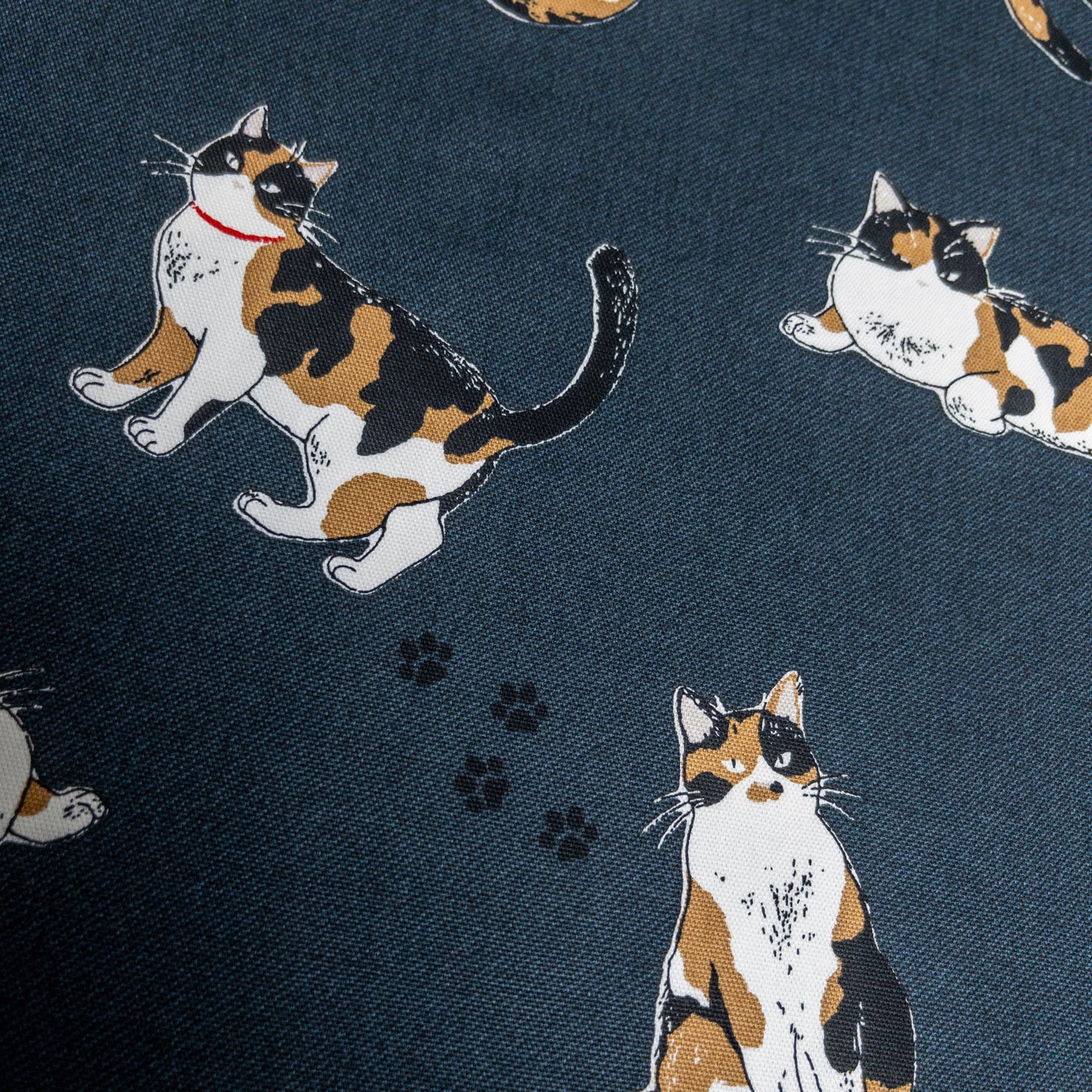 Japan | calico cat 三色貓 | cotton printed oxford 純棉